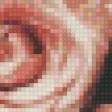 Предпросмотр схемы вышивки «розы» (№1024610)