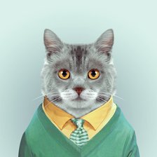 Схема вышивки «Кот»