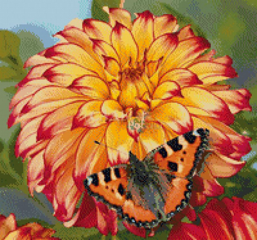 Леди Дарлен - георгин, бабочки, цветы - предпросмотр