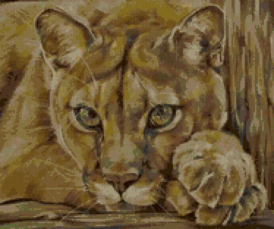 Пума - предпросмотр