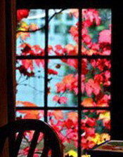 Осень за окном. Триптих ч.1