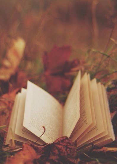 Осеннее чтиво - осень, чтение, книга - оригинал