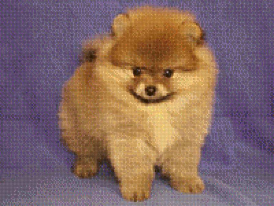 подарок - предпросмотр