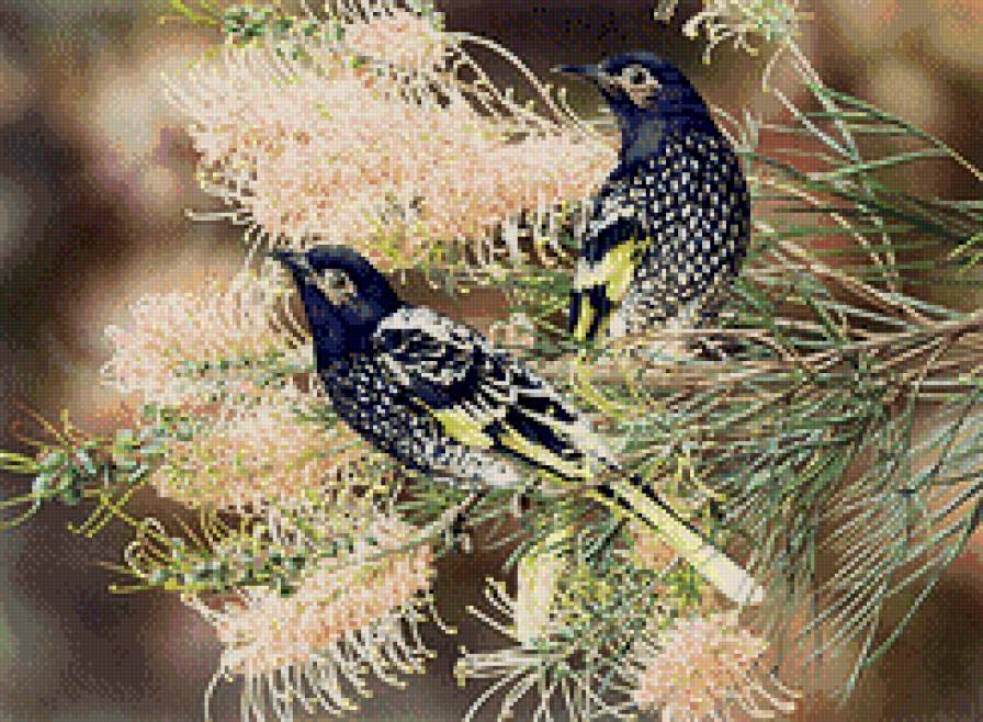 парочка - птицы - предпросмотр