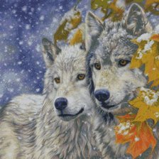 волки и осень