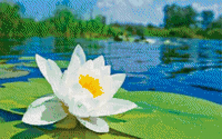 Kрасивые цветы_6 - картины, схемы вышивки, цветы - предпросмотр