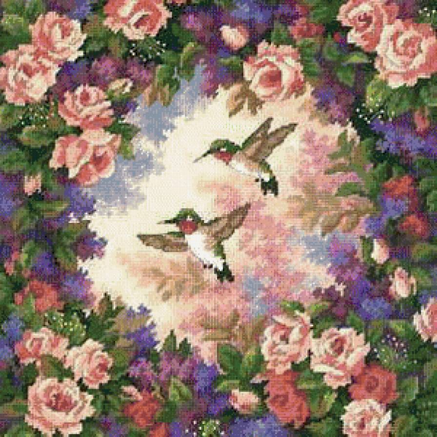 Колибри - предпросмотр