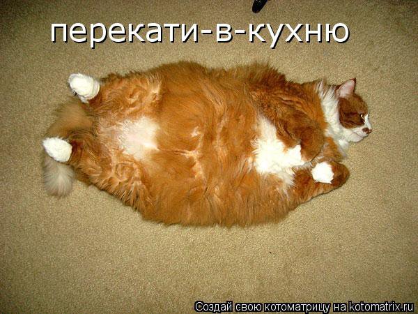 Перекати в кухню - котейка - оригинал