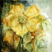 Схема вышивки «желтые цветы2»