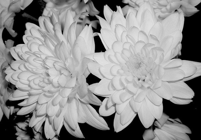 нежность - оригинал