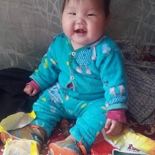 Схема вышивки «dogi»