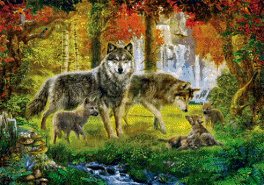 Семья волков - волки, семья, лес - предпросмотр