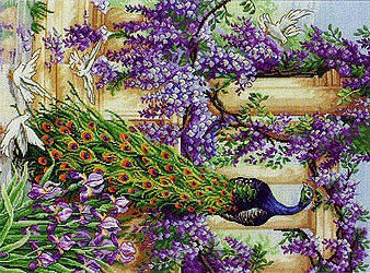 павлин - павлин - оригинал