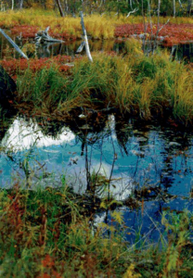 Озеро - озеро, осень, тундра - предпросмотр