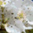 Предпросмотр схемы вышивки «Черешня» (№1028409)