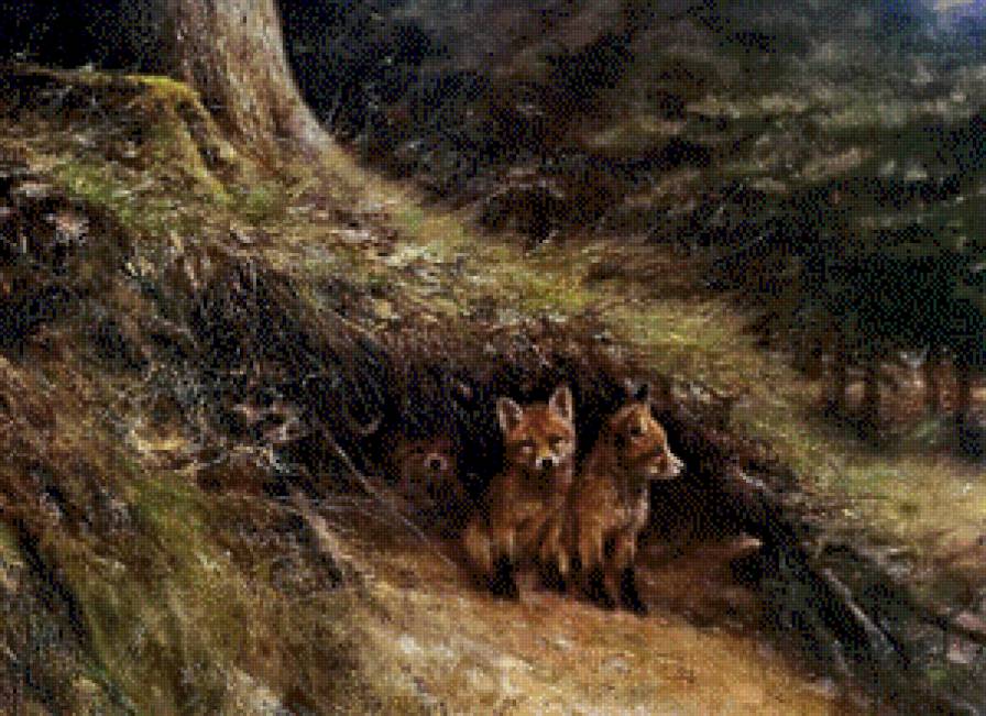 Семейство лисичек - лес, лиса, лисички, природа - предпросмотр