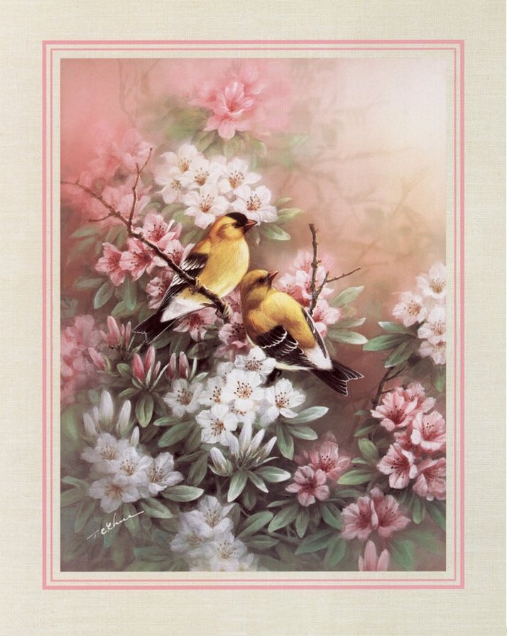 птицы на ветке - птицы - оригинал