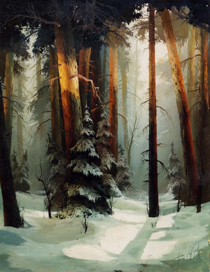 Сказочный лес - снег, зима, лес, деревья - оригинал