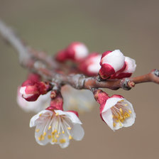Схема вышивки «Начало.»