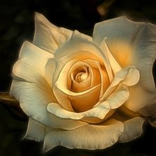 Схема вышивки «роза»