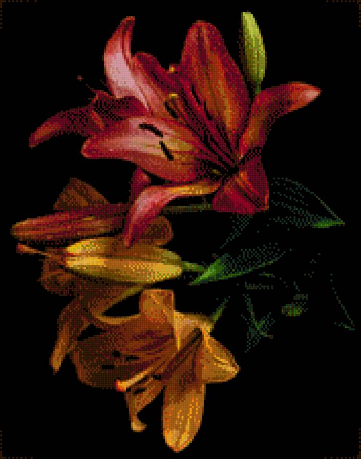 лилии - цветы - предпросмотр