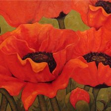 Схема вышивки «маки»