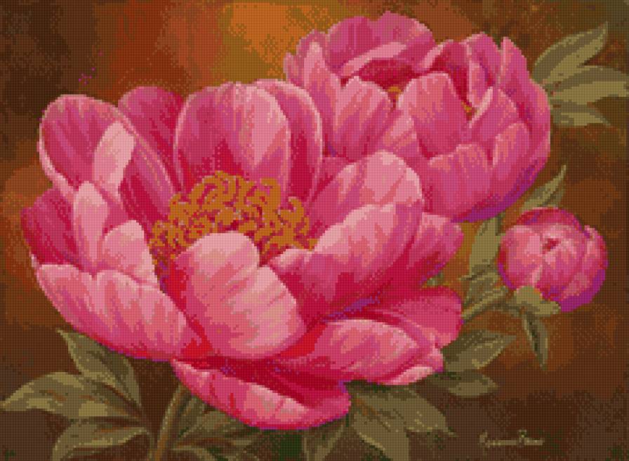 пион - предпросмотр