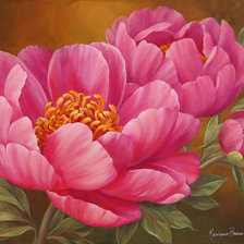 Схема вышивки «пион»