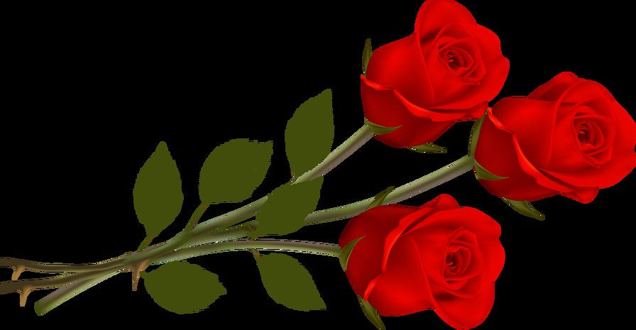 розы - оригинал