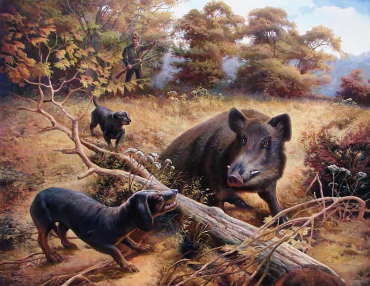 Охота на кабана - звери, такса, лес, охота - оригинал