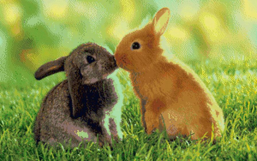 кролики - предпросмотр