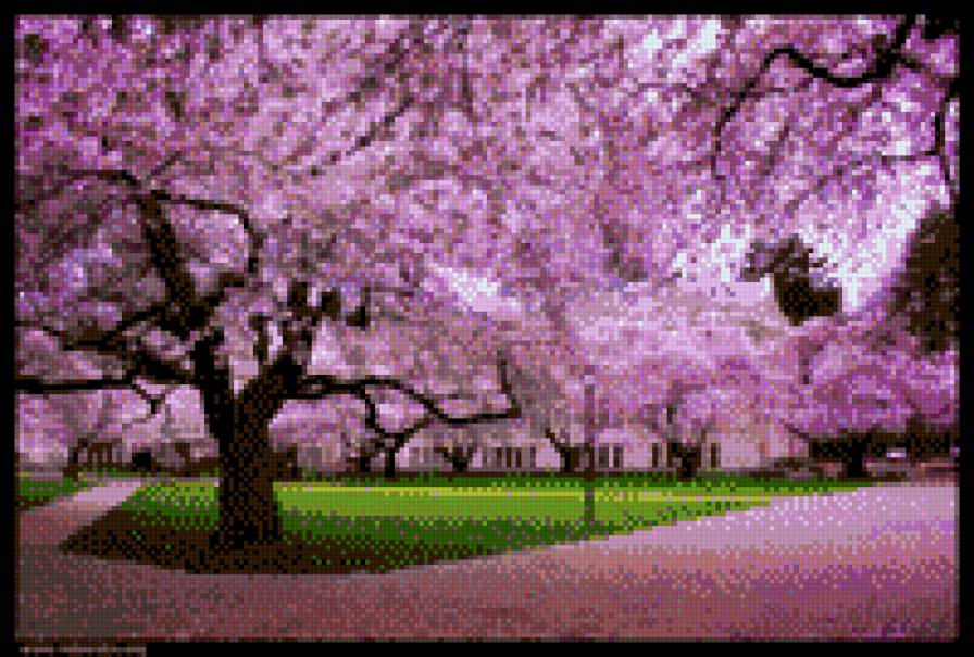 №1030267 - предпросмотр