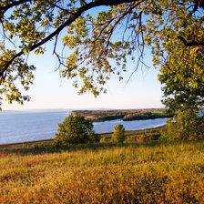 Схема вышивки «Природа»