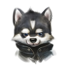 Схема вышивки «саба»