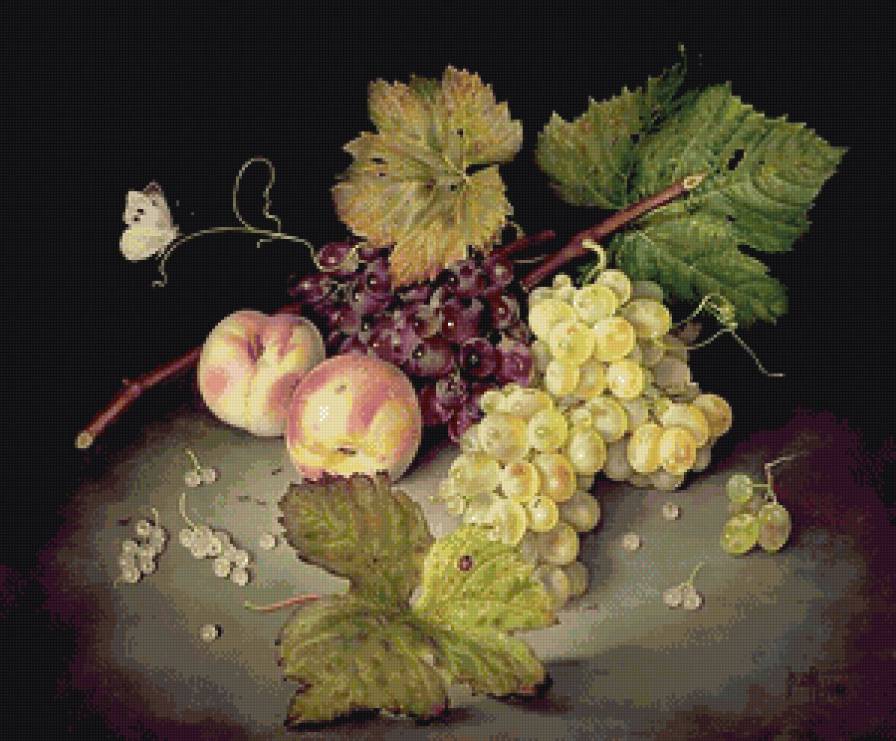 виноград хосе эскофет - предпросмотр