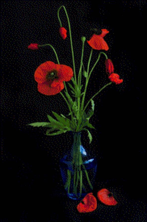 маки в вазе - цветы - предпросмотр
