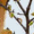 Предпросмотр схемы вышивки «длиннохвостый королевский тиранн» (№1031031)