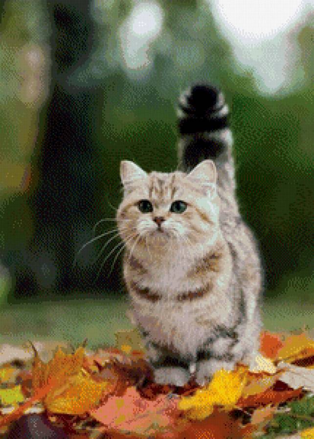 №1031096 - предпросмотр