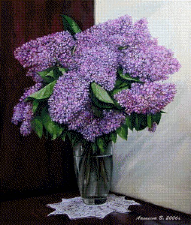 сирень - цветы.сирень - предпросмотр