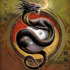 Dragon yin yang