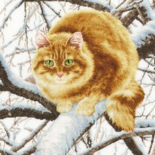 Схема вышивки «рыжая морда»