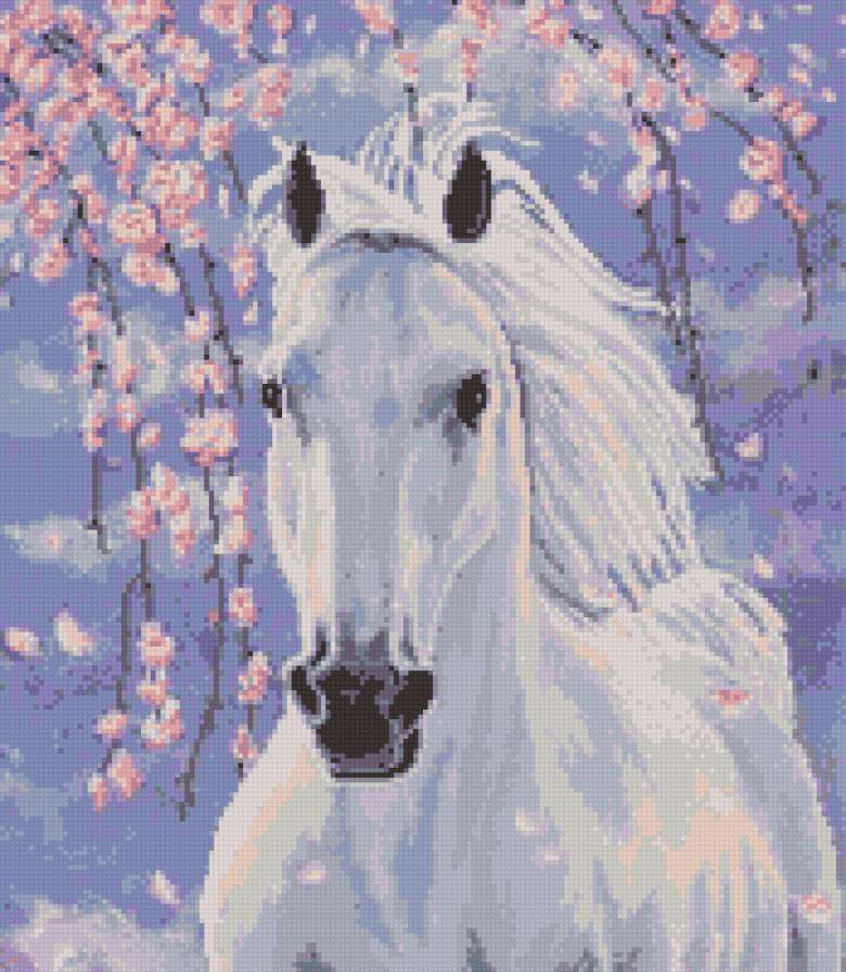 Сакура - предпросмотр