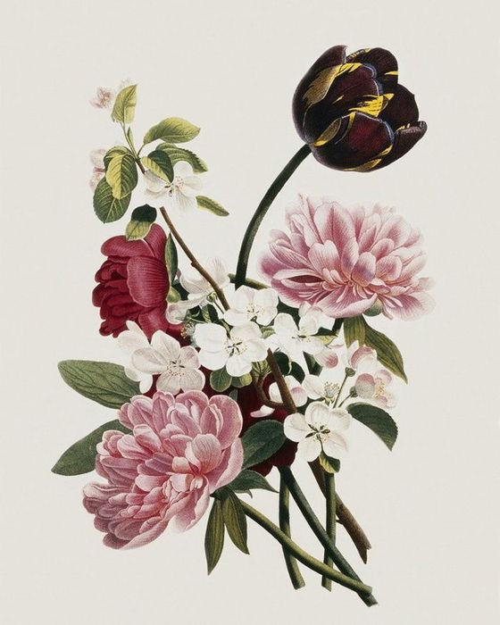 букет цветов - цветы - оригинал