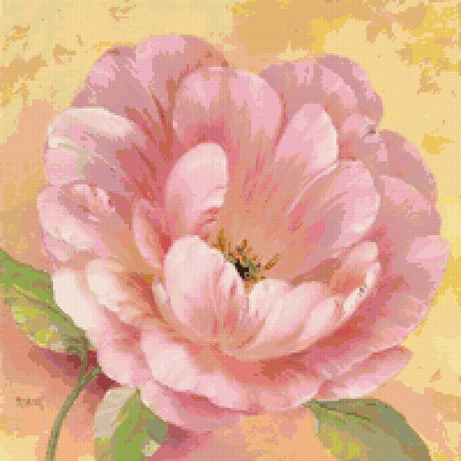 цветок - розы, цветы - предпросмотр