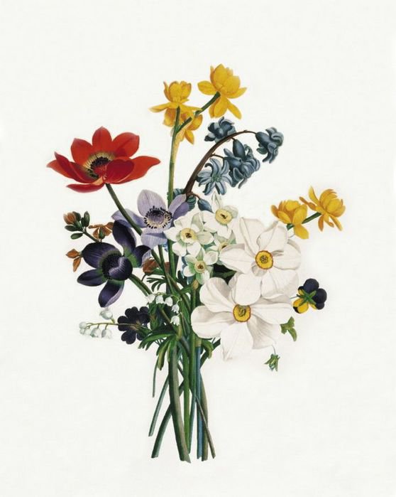 букет цветов - цветы - оригинал