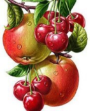 Схема вышивки «яблоки и вишня»