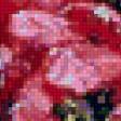 Предпросмотр схемы вышивки «маки в вазе» (№1032377)