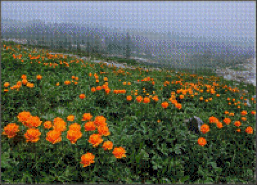 жарки - предпросмотр