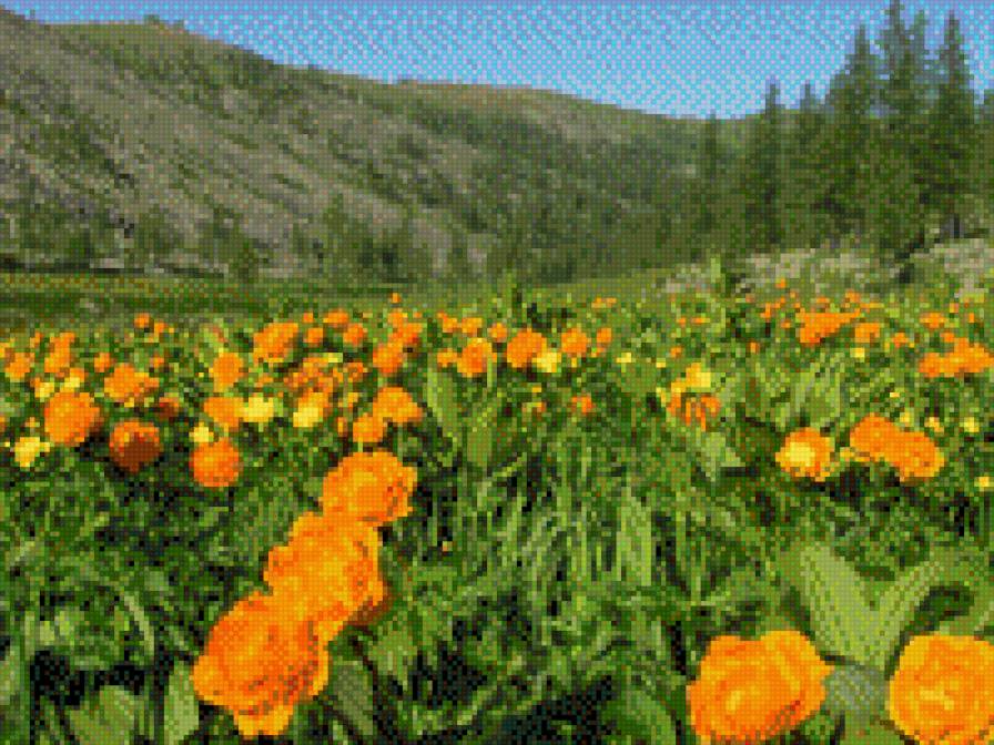 громатуха - предпросмотр