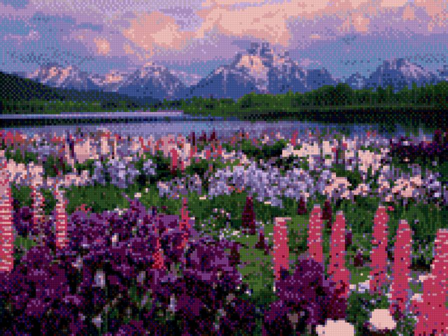 море цветов - пейзаж, горы, цветы - предпросмотр